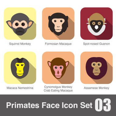 vektör çizim sevimli maymun yüzü düz Icon set