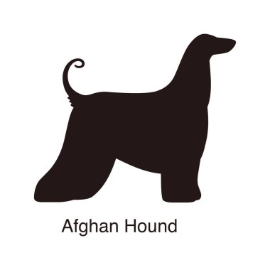 Afgan av köpeği silueti, yan görüş, vektör illüstrasyonu