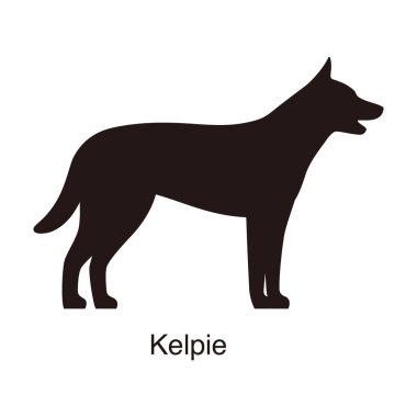 Kelpie köpek silueti, yan görünüm, vektör illüstrasyonu