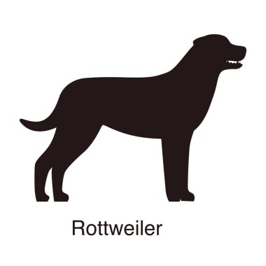 Rottweiler köpek silueti, yan görünüm, vektör illüstrasyonu