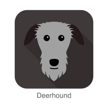 Deerhound köpek yüz portresi düz simge tasarımı, vektör illüstrasyonu