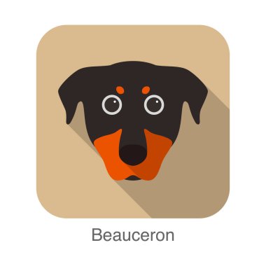 Beauceron köpek yüz portresi düz simge tasarımı, vektör illüstrasyonu