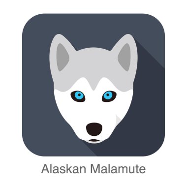 Siberian dış yapraklar bebeğin yüzü, Alaskan Malamute vector Illustrator