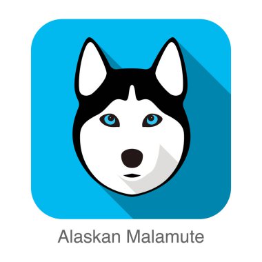 Alaskan Malamute köpek yüz portre düz simgesi tasarım, vektör çizim