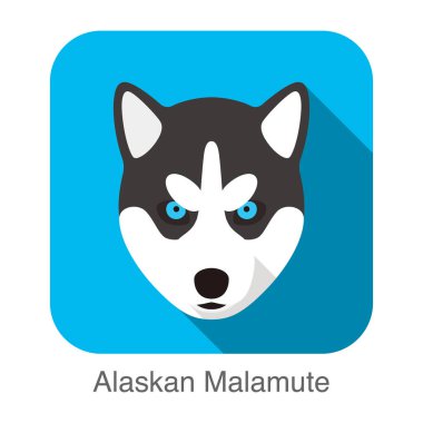 Siberian dış yapraklar bebeğin yüzü, Alaskan Malamute vector Illustrator