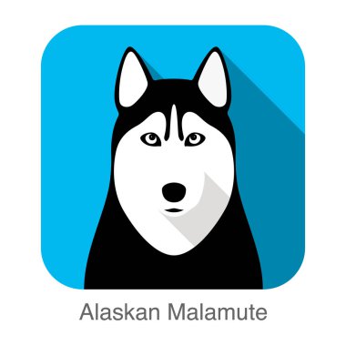 Siberian dış yapraklar yüz, Alaskan Malamute vector Illustrator
