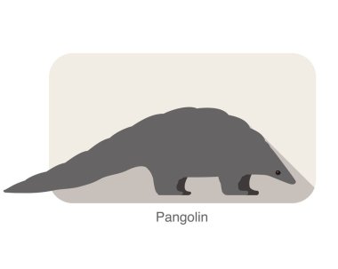 pangolin yürüyüş ve arama, yan görünüm, vektör çizim