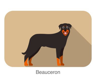 Vektör Beauceron korkunç ayakta ve izlemek,