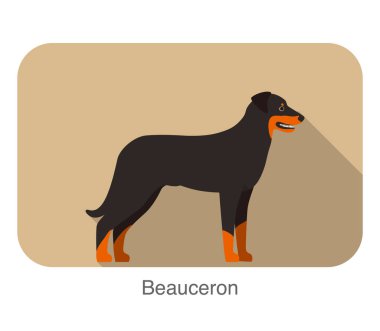 Vektör Beauceron korkunç ayakta ve izlemek,