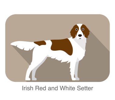 İrlandalı setter kırmızı ve beyaz terrier ayakta ve izlerken, düz simgesi, illüstrasyon vektör