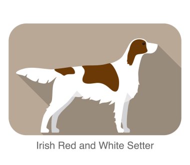 İrlandalı setter kırmızı ve beyaz terrier ayakta ve izlerken, düz simgesi, illüstrasyon vektör