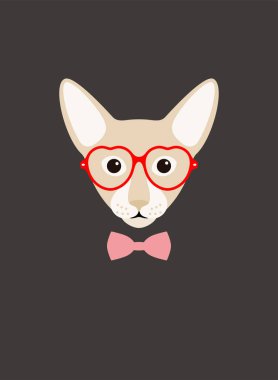 Kedi portresi, gözlük takan bir bayan gibi, havalı stil, kostüm