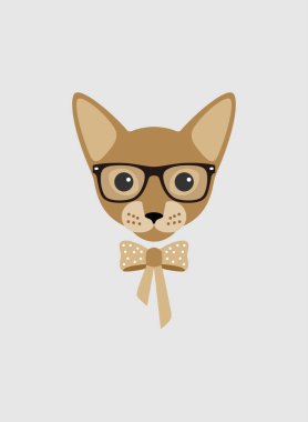 Kedi portresi, gözlük takan bir bayan gibi, havalı stil, kostüm