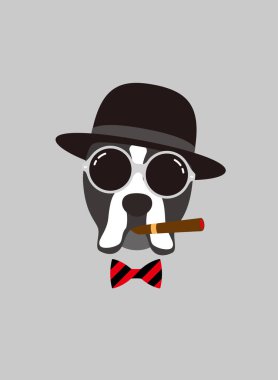 Boxer köpek, bir patron, serin tarzı gibi bir şey giyiyor portresi