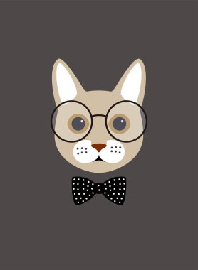 Kedi portresi, gözlük takıyor, bir alim gibi, havalı bir tarz.