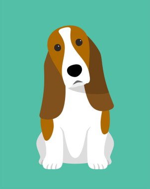 Basset av köpeği, efendinin emirlerini bekliyor.