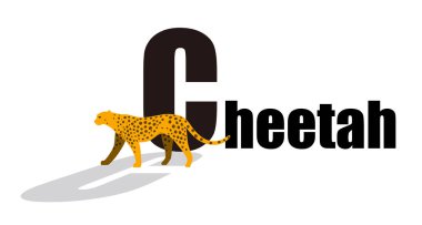 Çita yürüyen düz 3D simge tasarımı, vektör illüstrasyonu