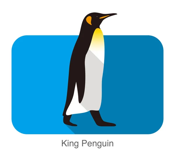 Király Pingvin Sétál Pingvin Vetőmag Sorozat Vektoros Illusztráció — Stock Vector