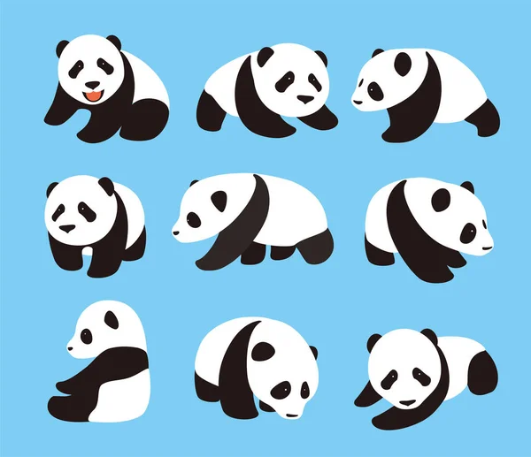 Słodkie Panda Baby Zestaw Płaska Konstrukcja Wektor Ilustrator — Wektor stockowy
