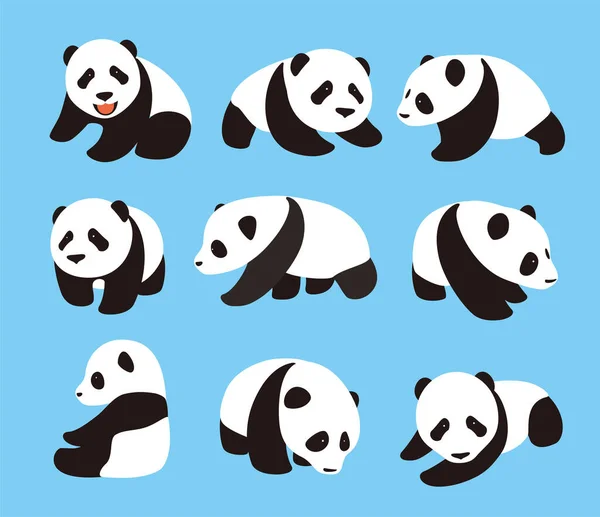 sevimli panda seti, düz tasarım vektör Illustrator bebeğim