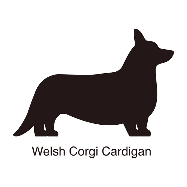 Galli Corgi Cardigan köpek silueti, yan görüş, vektör illüstrasyonu