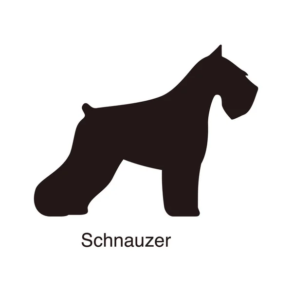 Schnauzer犬轮廓 侧视图 矢量图解 — 图库矢量图片