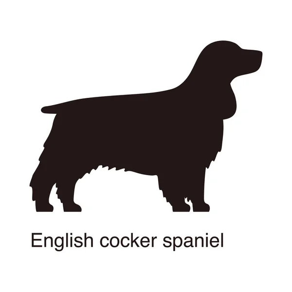 English Cocker Spaniel Dog Silhouette Side View Vector Illustration — Stock Vector