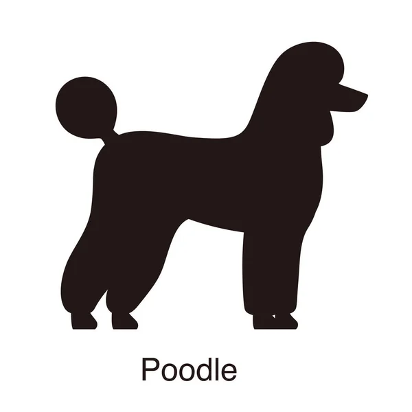 Silhouette Chien Caniche Vue Côté Illustration Vectorielle — Image vectorielle