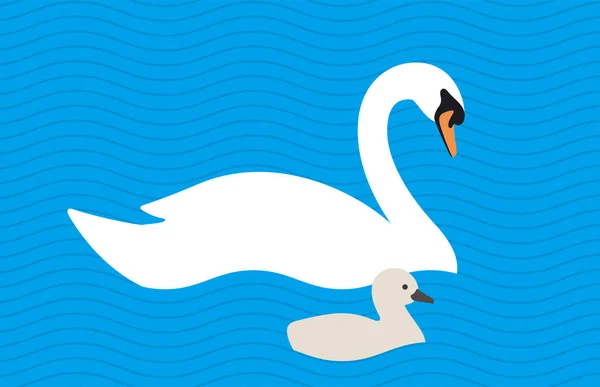 Лебедь Детское Купание Озере Матерью Векторные Иллюстрации — стоковый вектор
