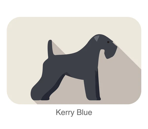 Kerry Blauwe Terrier Staan Kijken Platte Pictogram Ontwerp Vector Illustratie — Stockvector