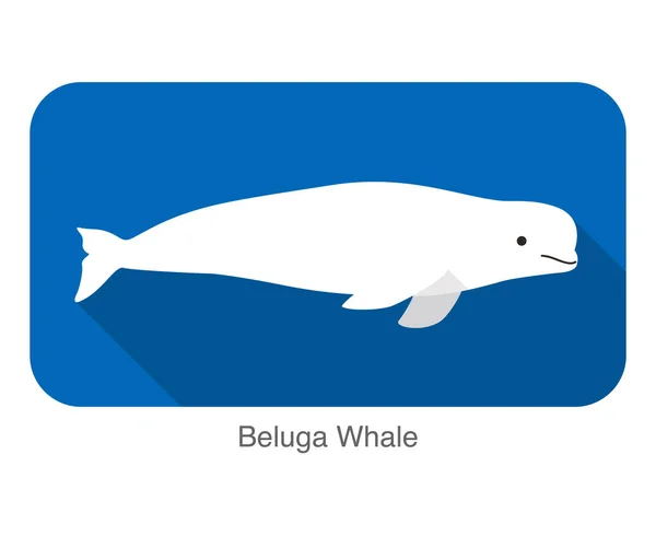 Beluga Balena Nuotare Acqua Icona Piana Illustrazione Vettoriale — Vettoriale Stock