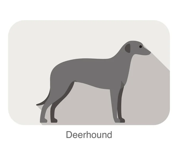 Deerhound Permanent Een Kijken Platte Pictogram Ontwerp Vectorillustratie — Stockvector