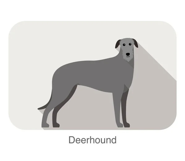 Bir Izlerken Düz Simgesi Tasarım Vektör Çizim Ayakta Deerhound — Stok Vektör