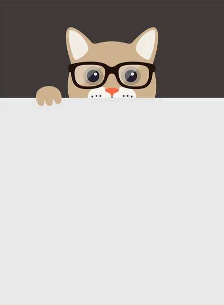 Kedi portresi, gözlük takıyor, öğretmen gibi, havalı stil, kostüm