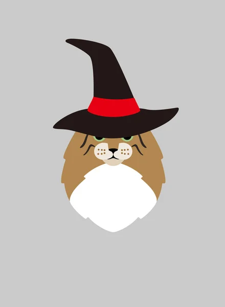 Kedi Portresi Şapka Takıyor Cadı Gibi Havalı Stil Kostüm — Stok Vektör