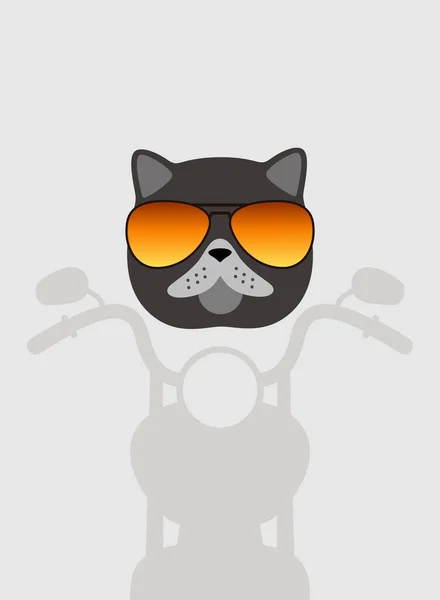 Ritratto Gatto Indossando Occhiali Come Motociclista Stile Cool Cosplay — Vettoriale Stock