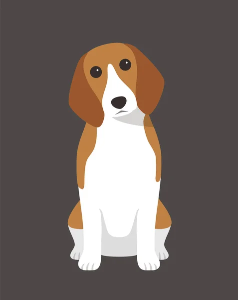 Beagle Hund Wartet Auf Ein Foto — Stockvektor