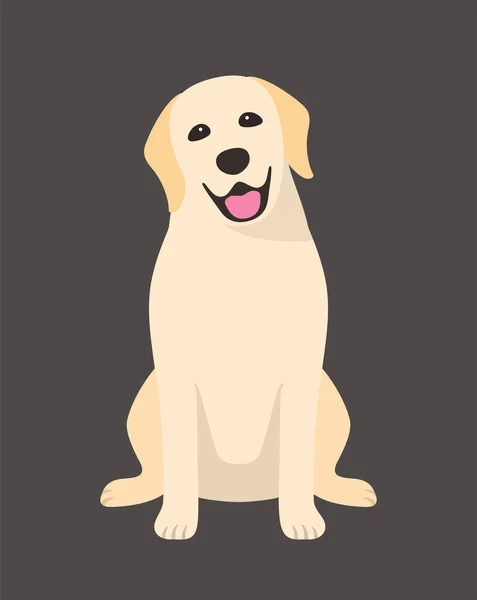 Golden Retriever köpeği oturuyor ve efendinin emrini bekliyor.