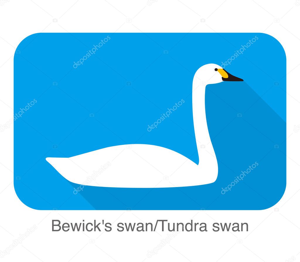 Bewick's swan cartoon flat icon vector illustration