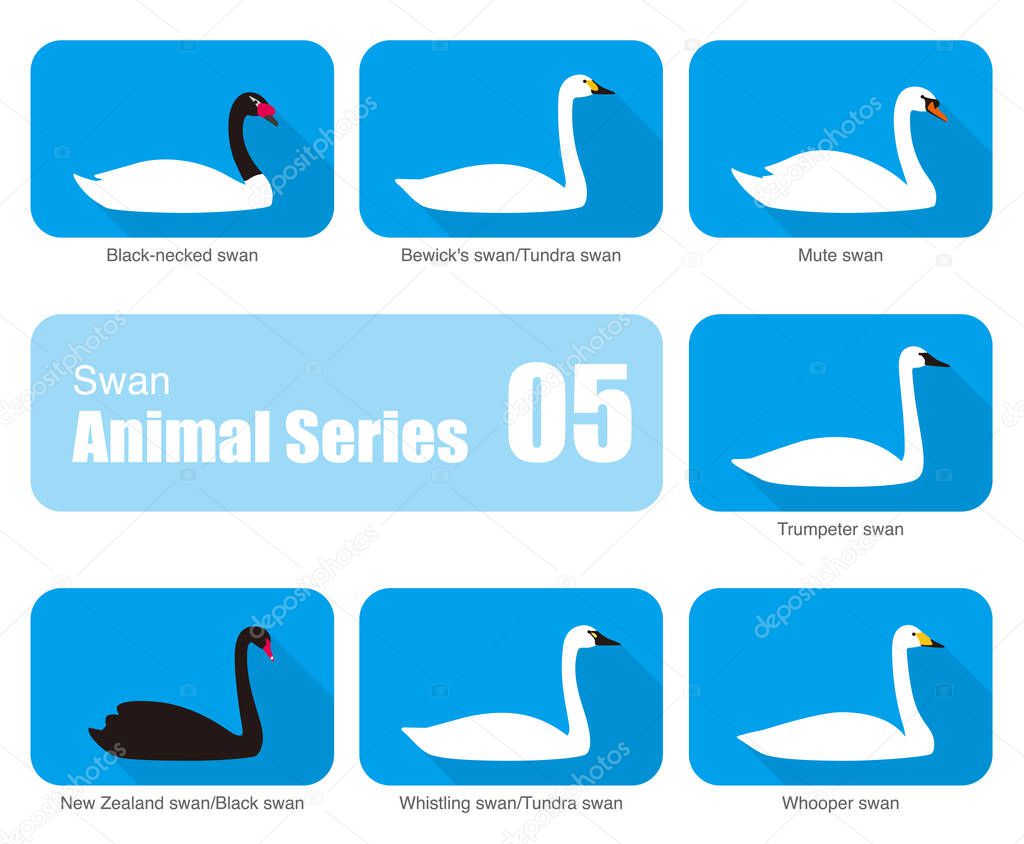 Set of swan vector icons