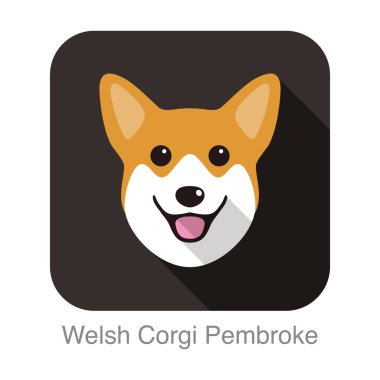 Galce Corgi Pembroke yüz düz simge tasarımı, vektör illüstrasyonu