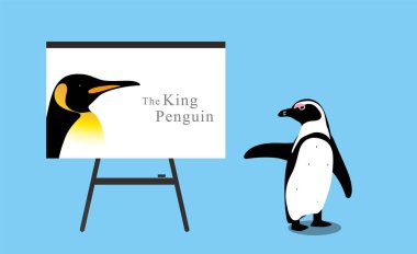Penguen iş toplantısı tahtası kullanıyor, öğretmen gibi, vektör illüstrasyonu.
