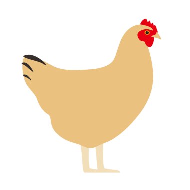 Tavuk, çiftlik hayvanı simgesi, vektör illüstrasyonu