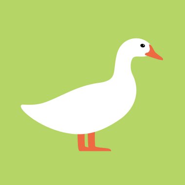 Ördek, çiftlik hayvanı simgesi, vektör illüstrasyonu