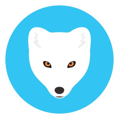 Kutup tilkisi yüz, düz simgesi tasarım karikatür