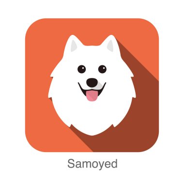 Samoyed köpek yüzü düz simge tasarımı, vektör illüstrasyonu