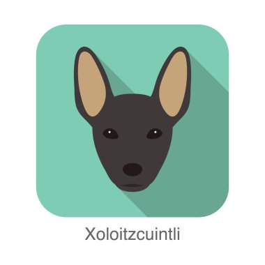 Kılsız köpek Xoloitzcuintli yüzü, vektör illüstrasyonu