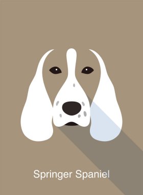 Springer Spaniel, köpek suratlı düz simge tasarımı, vektör illüstrasyonu