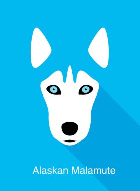 Alaska Malamute, köpek yüzü düz simge tasarımı, vektör illüstrasyonu