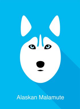 Alaska Malamute, köpek yüzü düz simge tasarımı, vektör illüstrasyonu